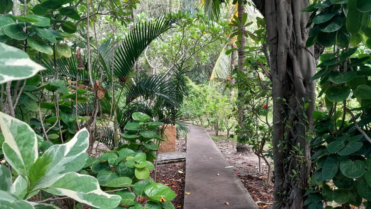 Ananda B&B Gili Air Eksteriør billede