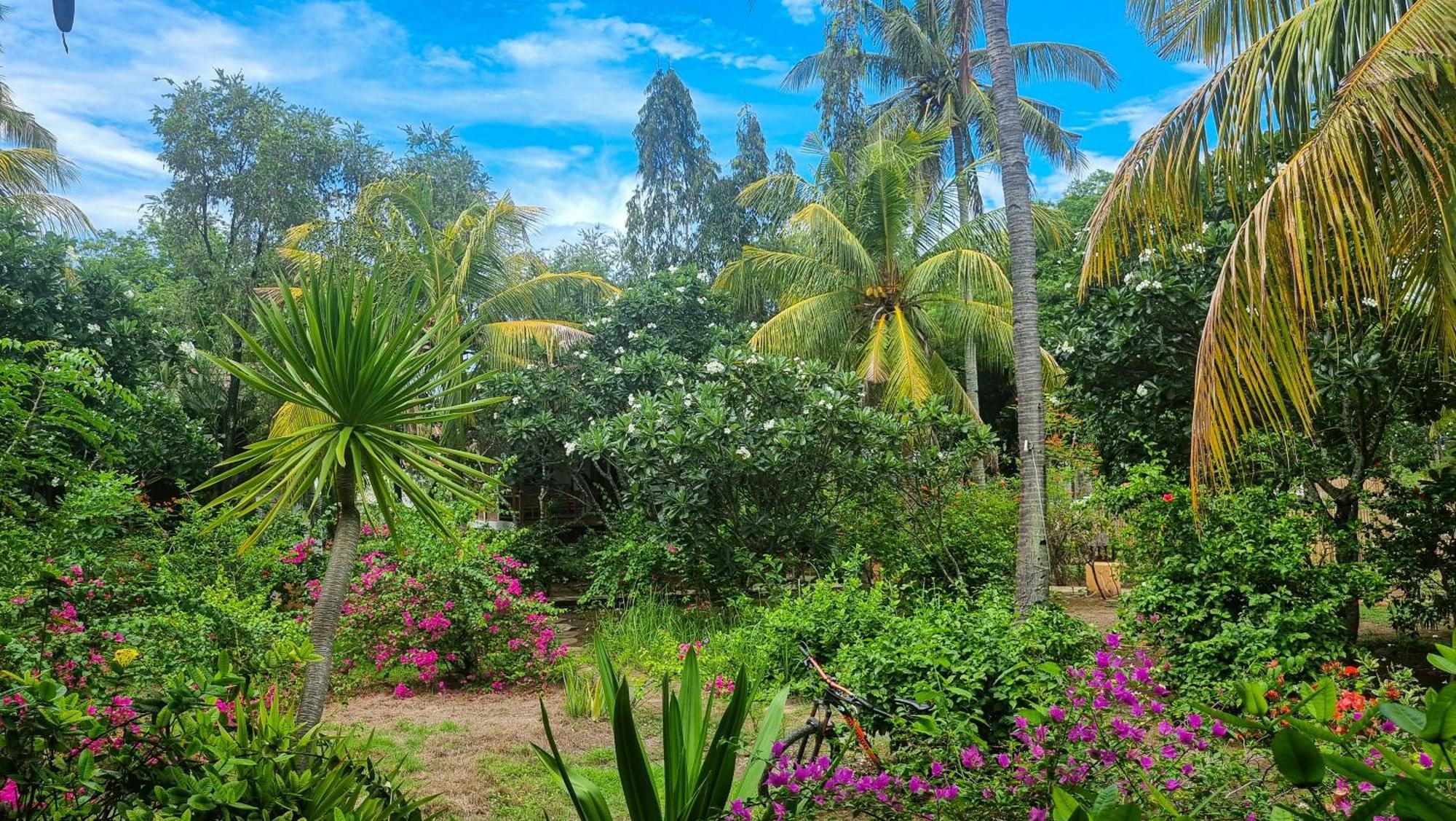Ananda B&B Gili Air Eksteriør billede
